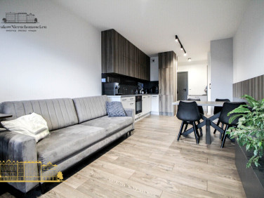 Mieszkanie apartamentowiec wynajem