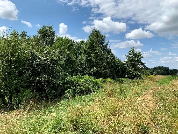 Działka budowlana Zaczarnie