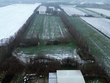 Działka rolna Dębówka