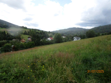 Działka rolna Milówka