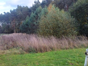 Działka budowlana Zalesie