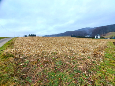 Działka budowlano-rolna Srogów Górny