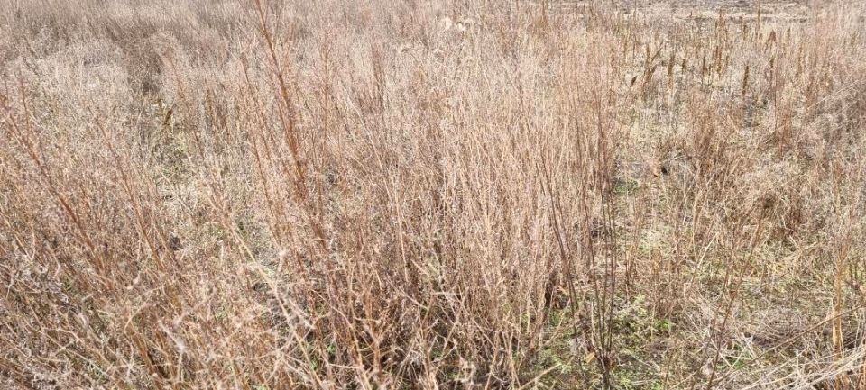 Działka budowlana Ożarów Mazowiecki