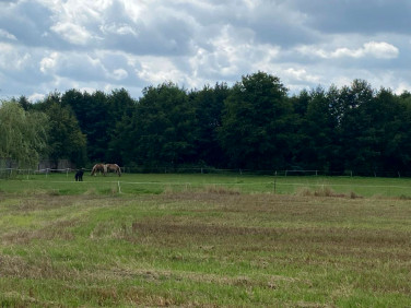 Działka budowlana Boruja Kościelna