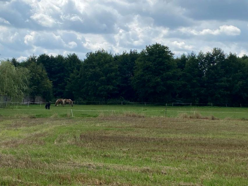 Działka budowlana Boruja Kościelna