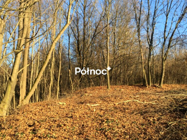 Działka Leksandrowa