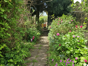 Działka rekreacyjna Włocławek