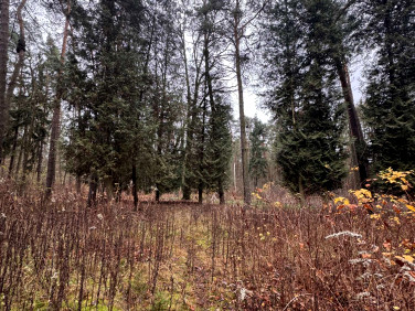 Działka Konstancin-Jeziorna