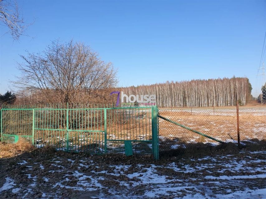 Zdjęcie 2