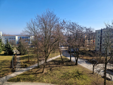 Mieszkanie Siemianowice Śląskie