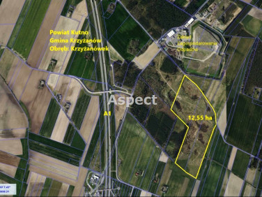 Działka Krzyżanówek