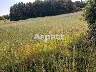 Pusta działka Wierzawice