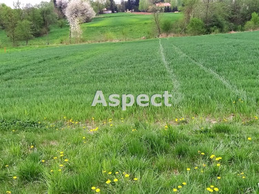 Działka Błędowa Tyczyńska