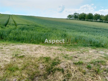 Pusta działka Grodzisko Górne