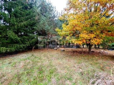 Działka Bolesławów