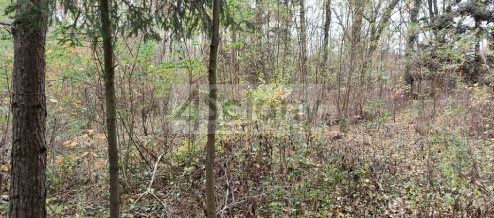 Działka budowlana Ojrzanów sprzedam