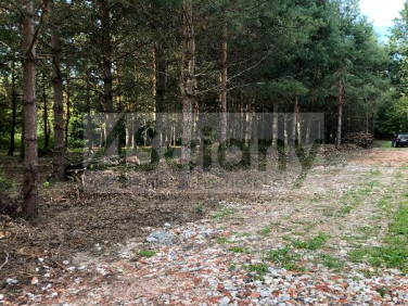 Działka budowlana Mieszkowo