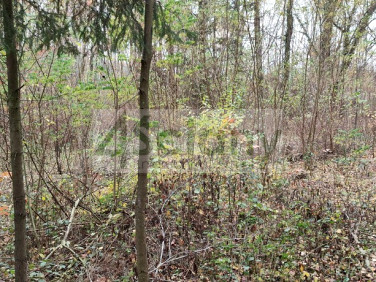 Działka rekreacyjna Ojrzanów sprzedam