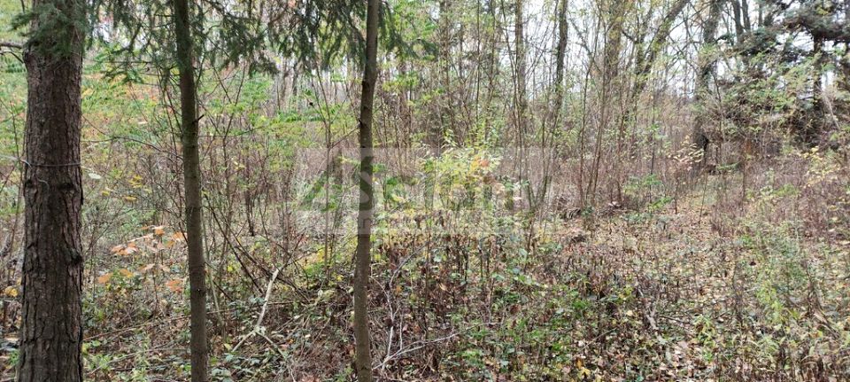 Działka rekreacyjna Ojrzanów sprzedam