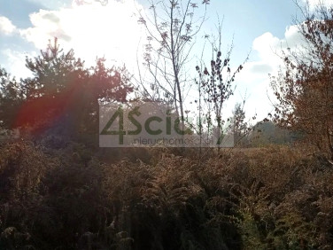 Działka budowlana Błonie sprzedam