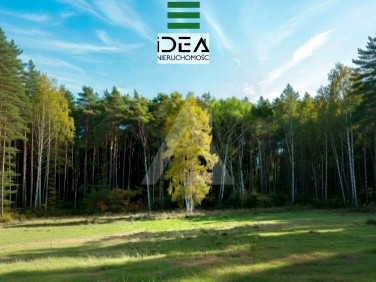 Działka budowlana Zielonka