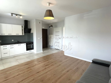 Mieszkanie Lębork wynajem