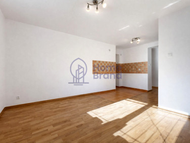 Lokal Wrocław wynajem