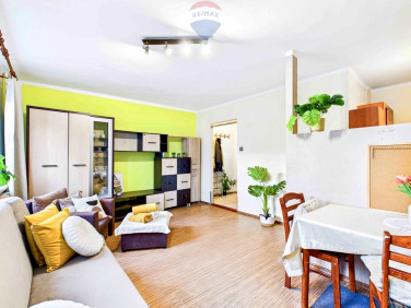 Mieszkanie Zielona Góra