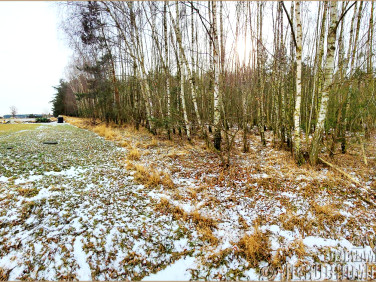 Pusta działka Radzyny