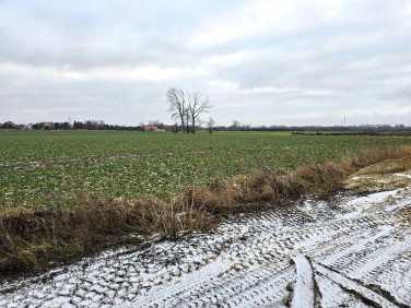 Działka budowlana Grodziec Mały