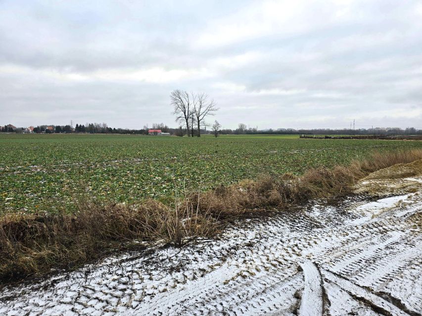 Działka budowlana Grodziec Mały