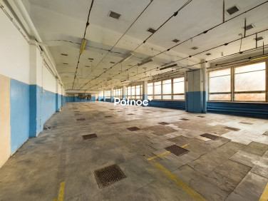 Budynek użytkowy Głogów wynajem