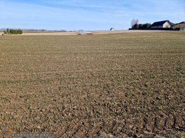 Działka budowlana Sieciechowice