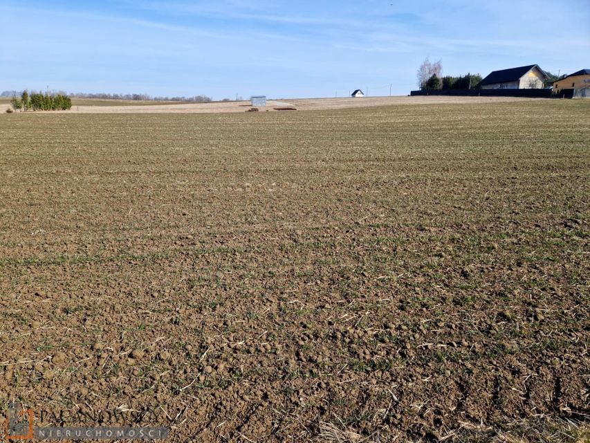 Działka budowlana Sieciechowice