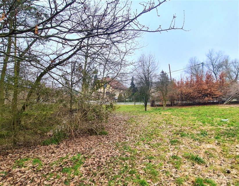 Działka budowlano-rolna Rogów