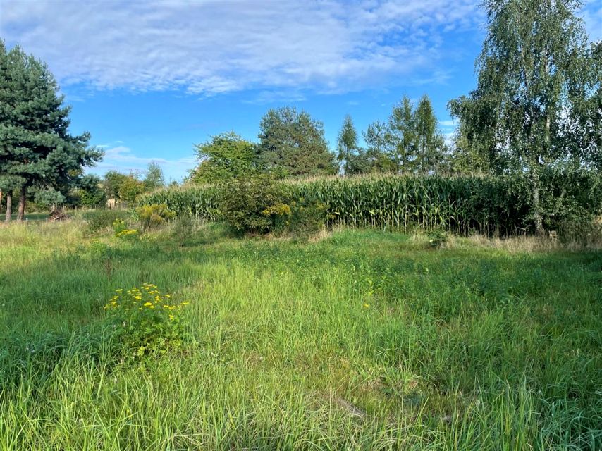 Działka budowlana Skrzyszów