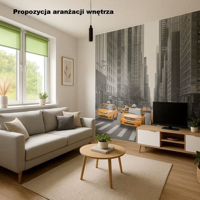 Mieszkanie Ponięcice