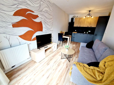 Mieszkanie Katowice wynajem