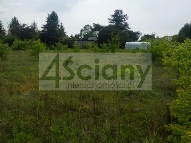 Działka Stasi Las