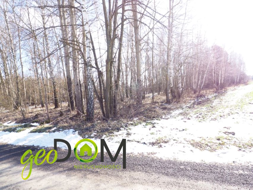 Działka rolna Wola Korybutowa Druga