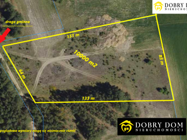 Działka rolna Pańki