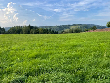 Działka budowlana Mszalnica