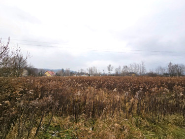 Działka inwestycyjna Jelenia Góra