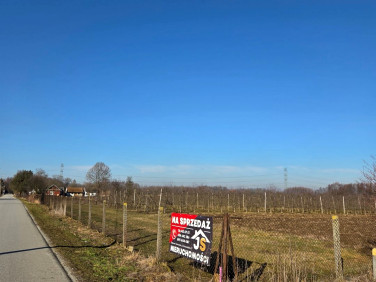 Działka budowlana Siedlec
