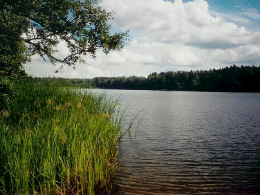 Działka rekreacyjna Chłopowo