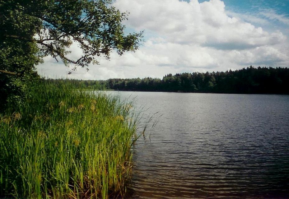 Działka rekreacyjna Chłopowo