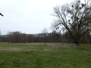 Działka budowlano-rolna Centawa