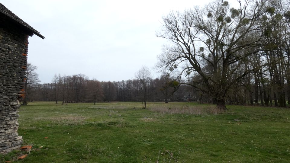 Działka budowlano-rolna Centawa