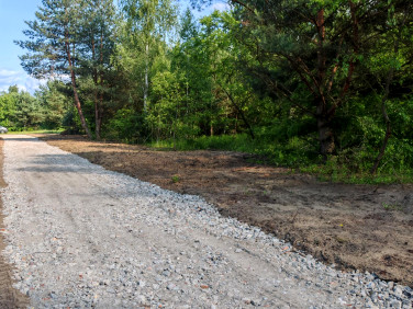 Działka Dziekanów Polski
