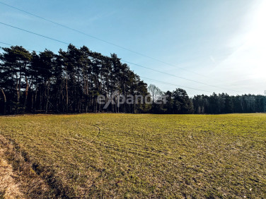 Działka rolna Ostrzeszów-Pustkowie